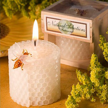 Forniture per feste di complea - Candle Supply recensione e prezzo